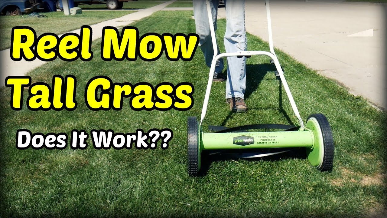 Can You Cut Tall Grass With a Reel Mower? Expert Tips Revealed Can You Cut Tall Grass With a Reel Mower? Expert Tips Revealed