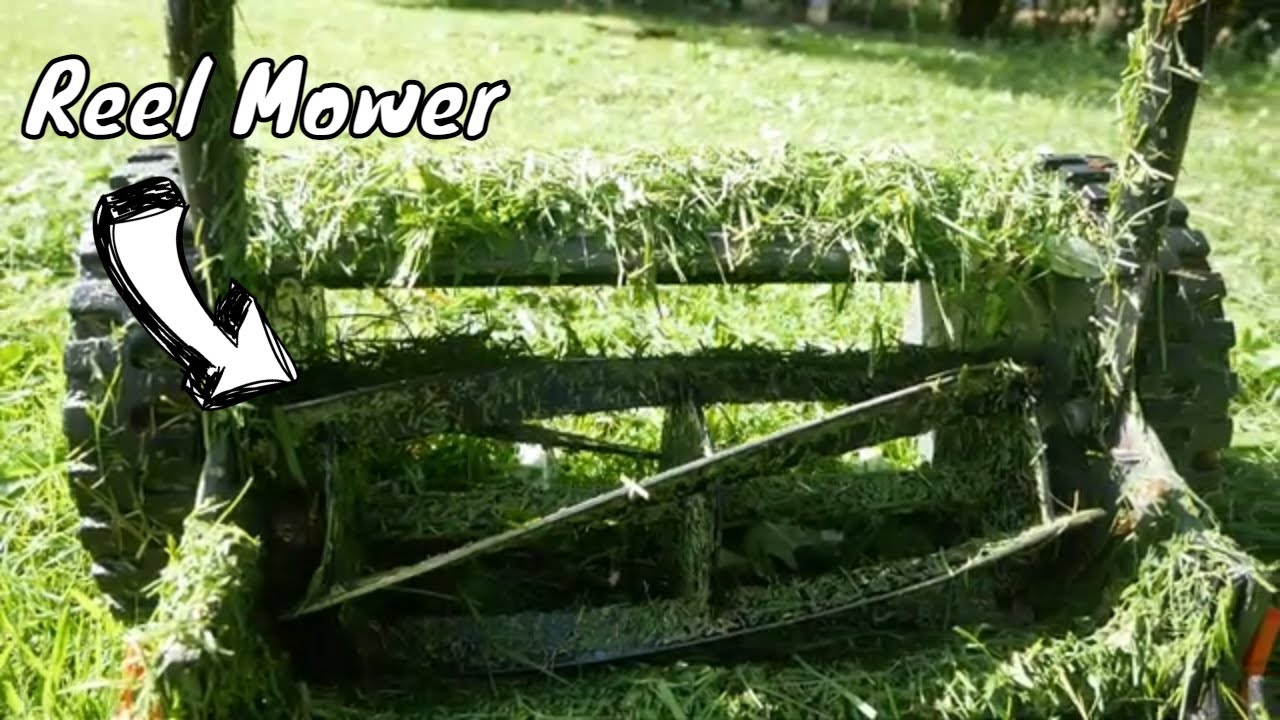 Can You Use a Reel Mower on Wet Grass? Expert Tips Revealed Can You Use a Reel Mower on Wet Grass? Expert Tips Revealed