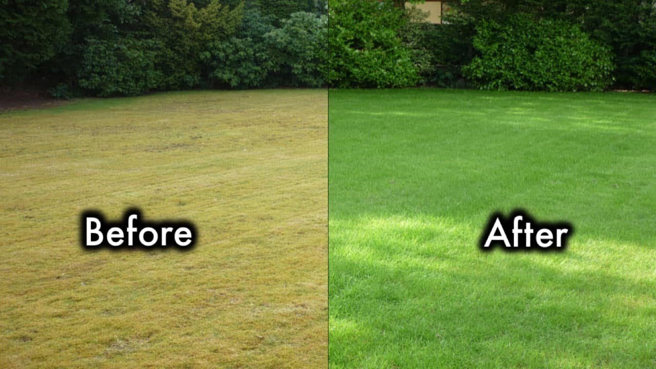 How to Make Lawn Green: Expert Tips for a Lush Yard How to Make Lawn Green: Expert Tips for a Lush Yard