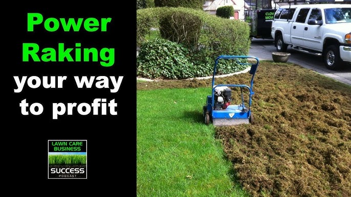 Difference Between Power Rake And Dethatcher: Key Lawn Care Insights Difference between Power Rake And Dethatcher: Key Lawn Care Insights