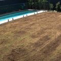 How to Fertilize Zoysia Grass