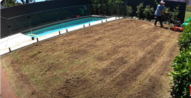 How to Fertilize Zoysia Grass