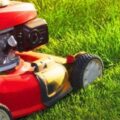 How to Mow Zoysia Grass