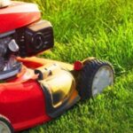 How to Mow Zoysia Grass