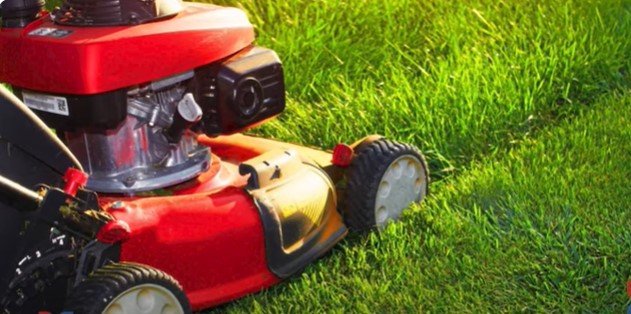 How to Mow Zoysia Grass