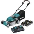 Best Powered Reel Mower