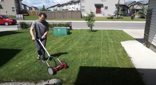 Is a Reel Mower Better for Grass