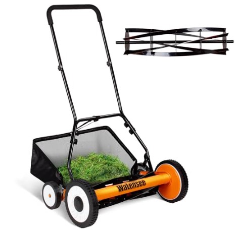 Best Reel Mower for Zoysia Grass