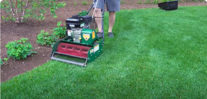 Are Reel Mowers Worth It