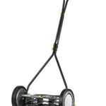 Best Power Reel Mower for Zoysia Grass