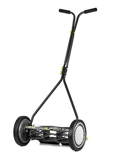 Best Power Reel Mower for Zoysia Grass