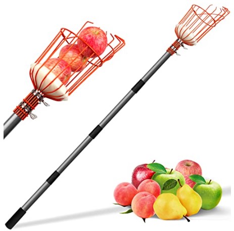 Best Fruit Picker
