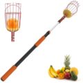 Fruit Picker Stick