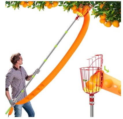 Best Fruit Picker for Figs