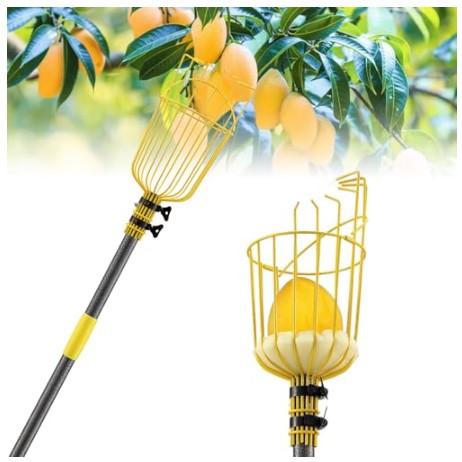 Mango Picker Stick