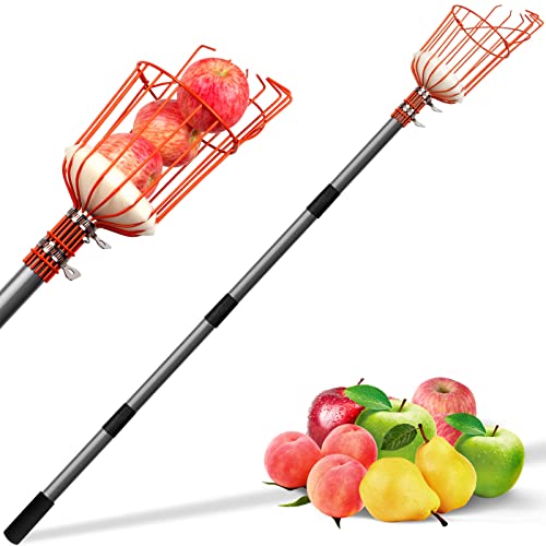 Best Fruit Picker Pole