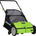 Best Lawn Sweeper for Dog Poop