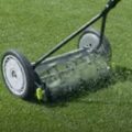 Are Reel Mowers Good