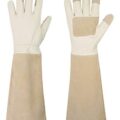 Best Thorn Proof Gloves