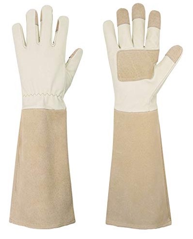 Best Thorn Proof Gloves