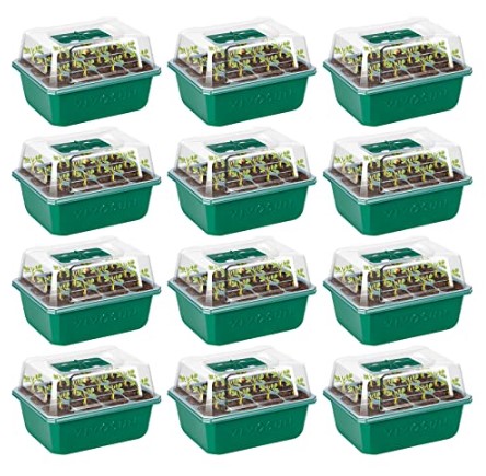 Best Reusable Seed Trays