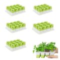 Silicone Seed Starting Trays