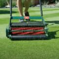 Is a Reel Mower Better for Grass