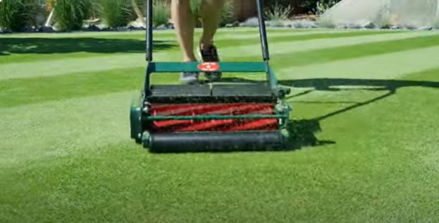 Is a Reel Mower Better for Grass