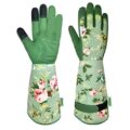 Best Gardening Gloves Uk