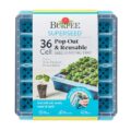 Best Seed Starting Trays for Vegetables