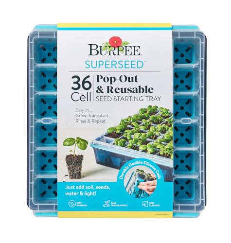 Best Seed Starting Trays for Vegetables