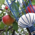 How to Make Fruit Picker