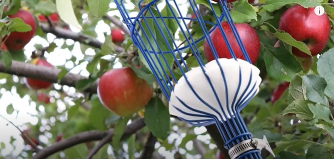 How to Make Fruit Picker