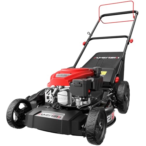 Best Lawn Mower Reviews