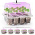 Best Seed Starter Kit With Grow Light