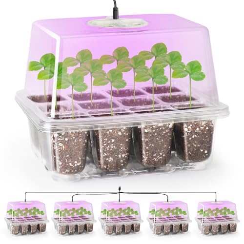 Best Seed Starter Kit With Grow Light