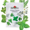 Burpee Culinary Herb Seed Starter Kit