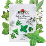 Burpee Culinary Herb Seed Starter Kit