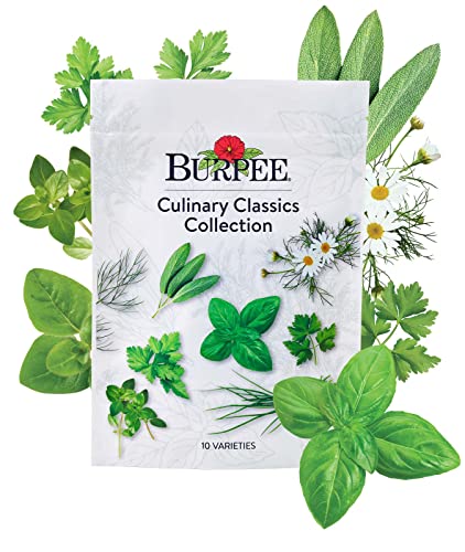 Burpee Culinary Herb Seed Starter Kit