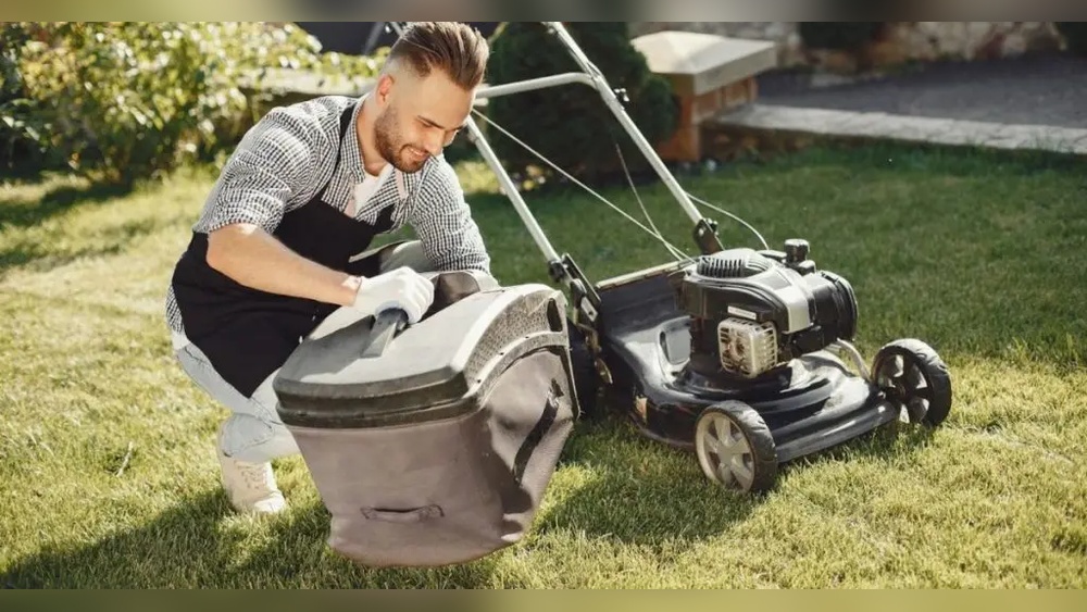 Do Lawn Sweepers Work on Pine Needles