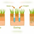 Is Aeration Necessary