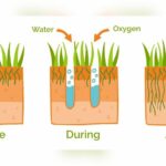 Is Aeration Necessary