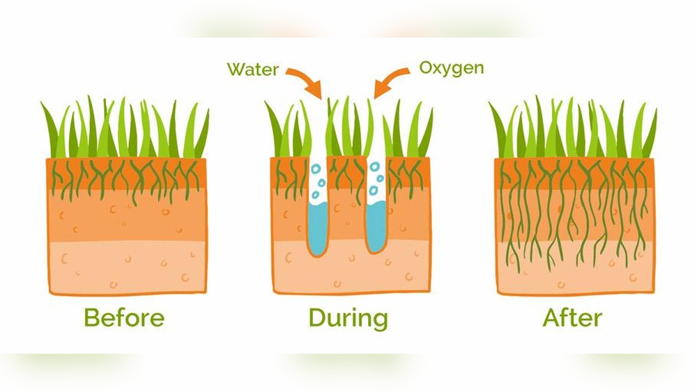 Is Aeration Necessary