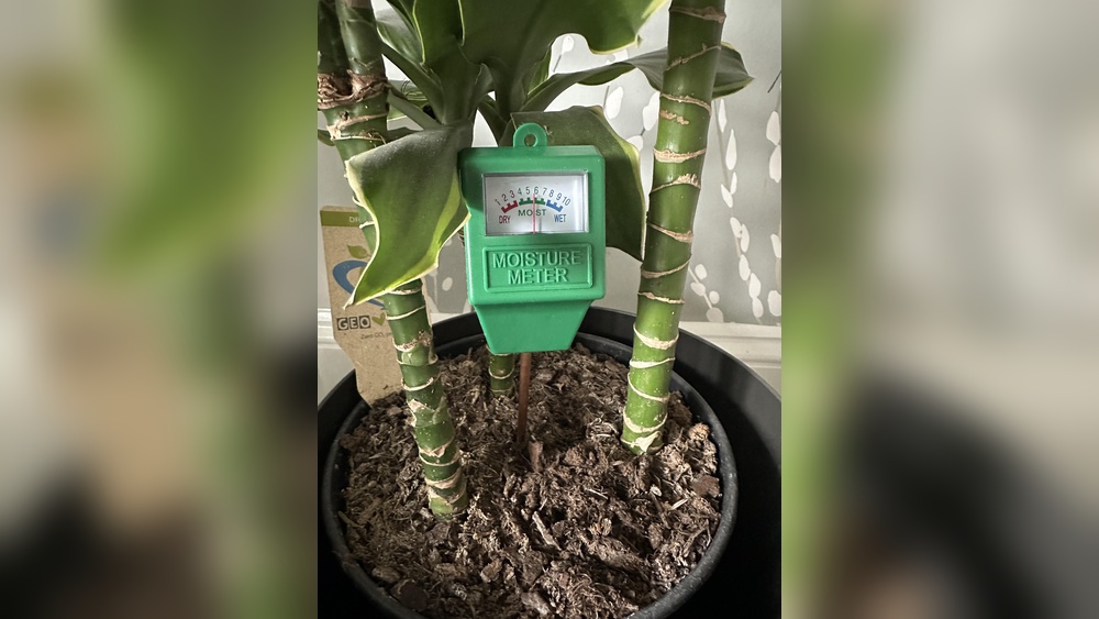 Are Soil Moisture Meters Accurate