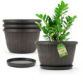 Best Flower Pots for Full Sun