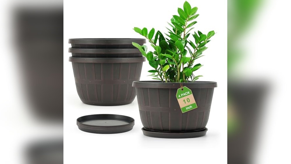 Best Flower Pots for Full Sun