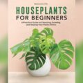Best House Plants for Beginners