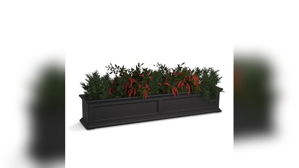 Best Planter Box Plants