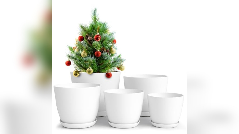 Best Pots for Plants Indoor