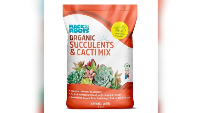 Home Best Succulents Usa